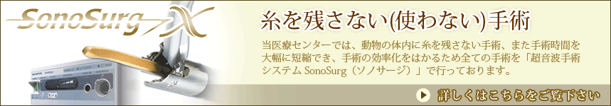 港区芝浦・お台場・田町・銀座・江東区豊洲・有明エリアの動物病院　芝浦動物医療センターの画像