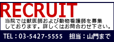 港区芝浦・お台場・田町・銀座・江東区豊洲・有明エリアの動物病院　芝浦動物医療センターの画像　Rikuruite／リクルート情報