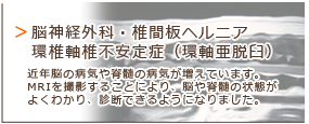 港区芝浦・お台場・田町・銀座・江東区豊洲・有明エリアの動物病院　芝浦動物医療センターの画像　脳神経外科・椎間板ヘルニア