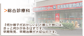 港区芝浦・お台場・田町・銀座・江東区豊洲・有明エリアの動物病院　芝浦動物医療センターの画像　総合診療科