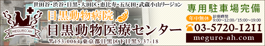 目黒動物医療センター  目黒動物病院