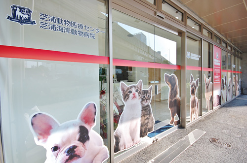 港区芝浦・お台場・田町・銀座・江東区豊洲・有明エリアの動物病院　芝浦動物医療センターの画像　入 口