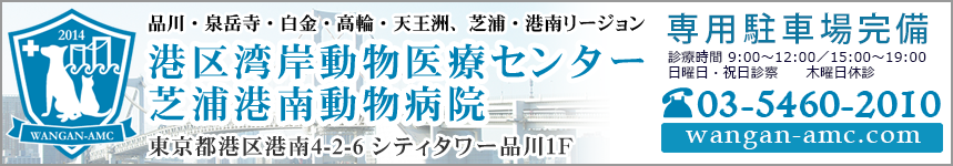 港区の動物病院なら芝浦動物医療センター 芝浦海岸動物病院 東京都港区海岸の動物病院