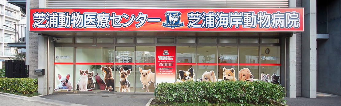 港区の動物病院なら芝浦動物医療センター 芝浦海岸動物病院 東京都港区海岸の動物病院